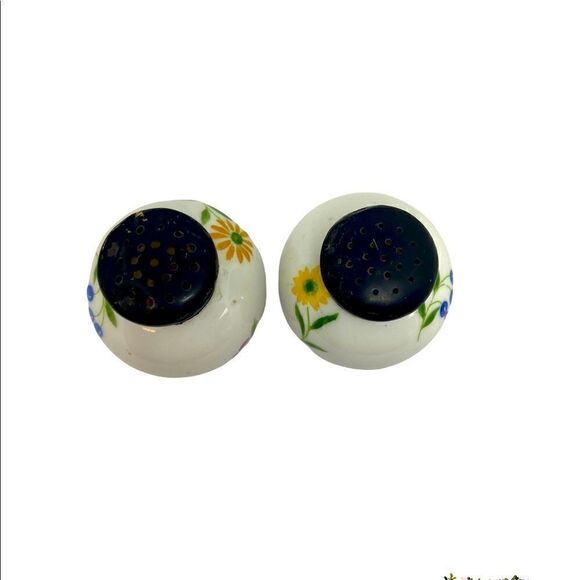 Rosenthal Selb Germany Salt & Pepper Shakers Hand Painted Floral - Picture 3 of 6